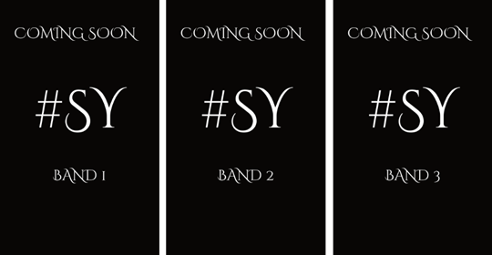 Buchbilder Platzhalter für #SY Reihe